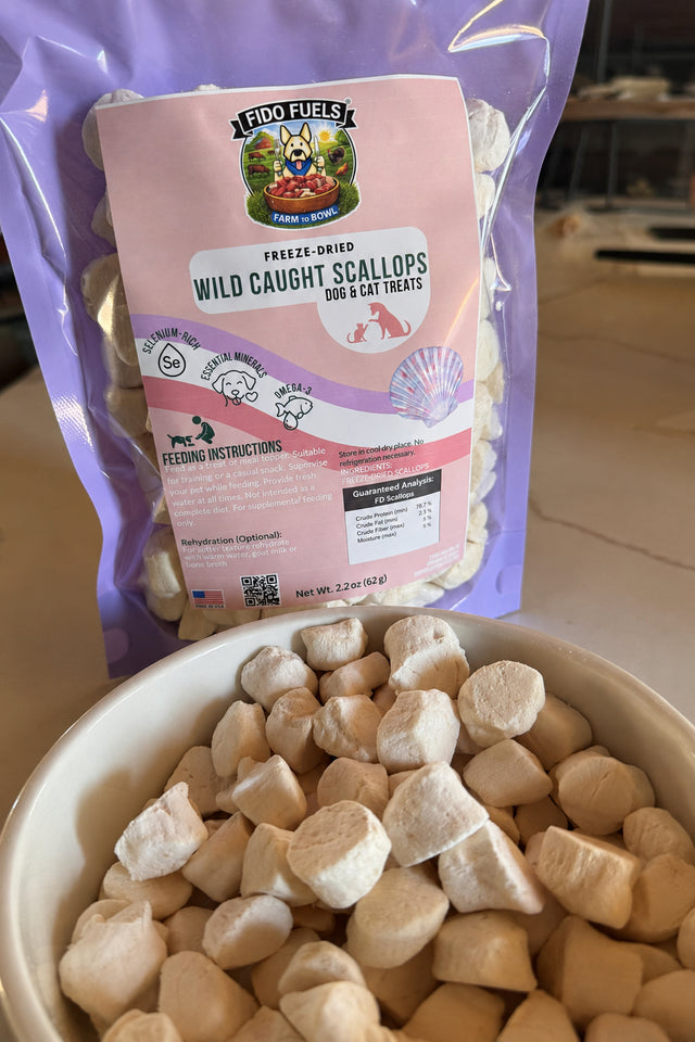 Freeze-Dried Scallops