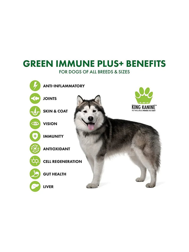 King Kanine Green Immune Plus Supplement for Dogs