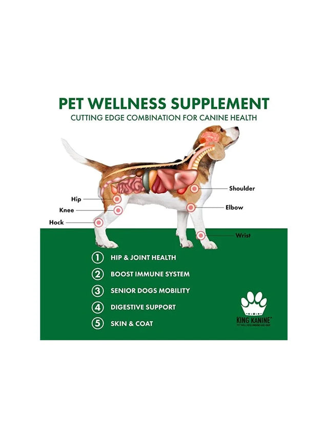 King Kanine Green Immune Plus Supplement for Dogs