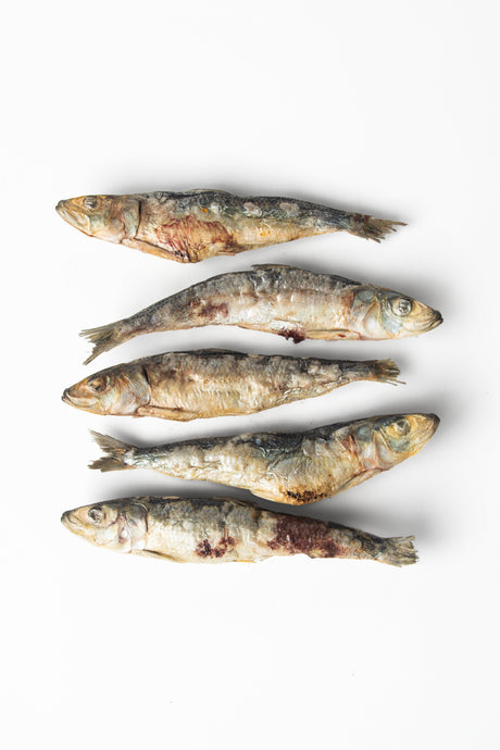 Fish Treats