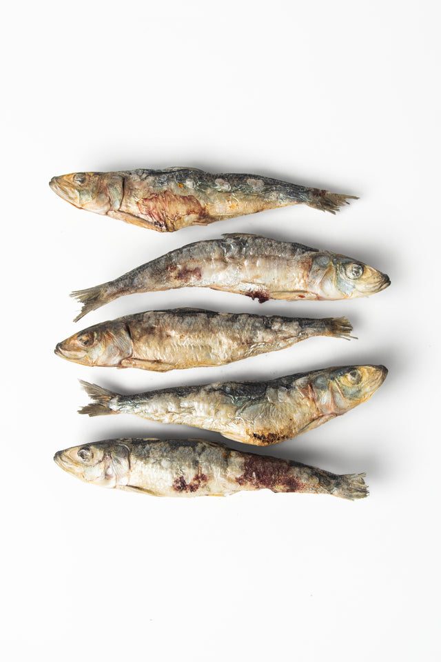 Freeze Dried Sardines