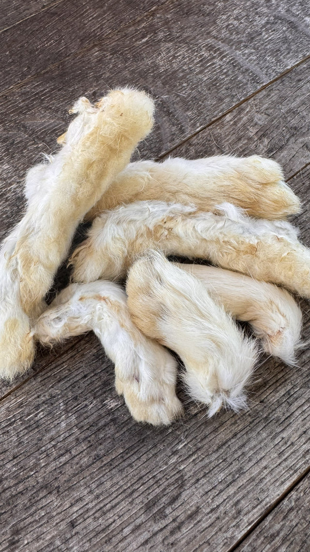 Hare Hoppers Rabbit Feet