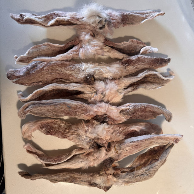 Ear Today, Gone Tomorrow - Dehydrated Rabbit Ears