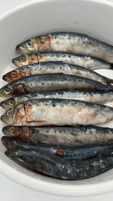 Frozen Raw Sardines