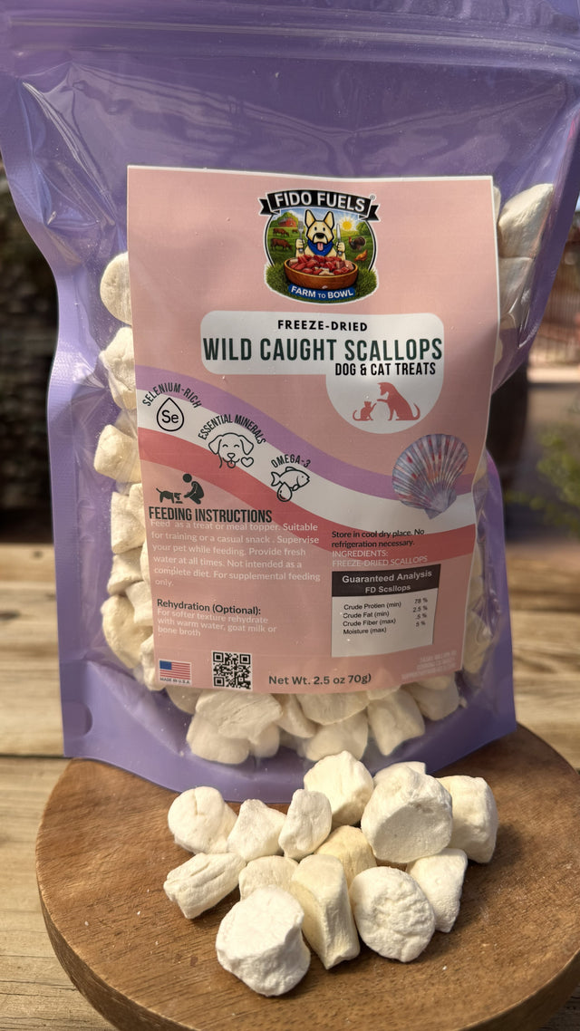Freeze-Dried Scallops
