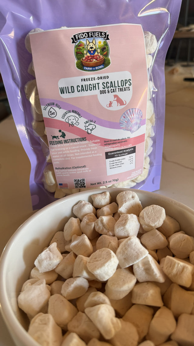 Freeze-Dried Scallops