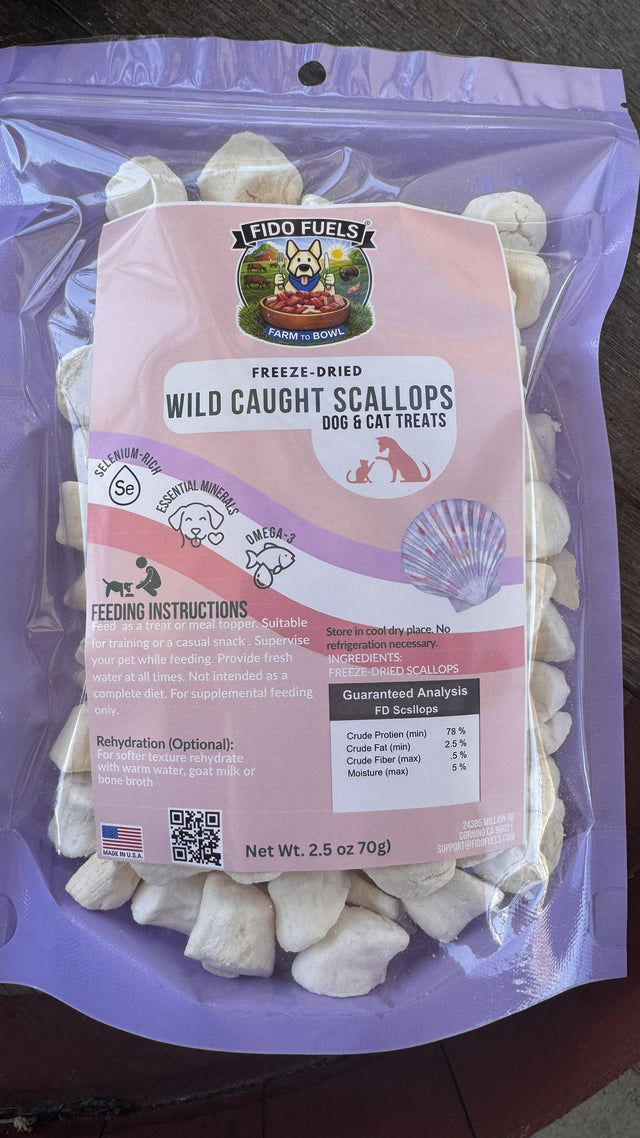 Freeze-Dried Scallops