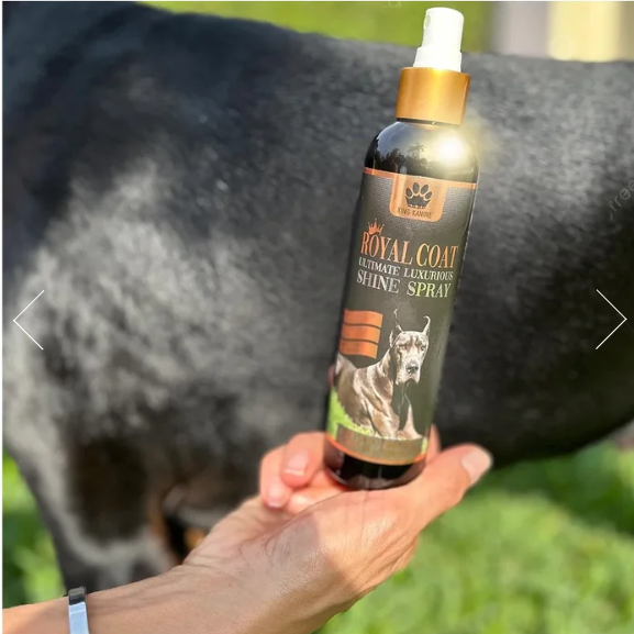 King Kanine Royal Coat Shine Dog Spray