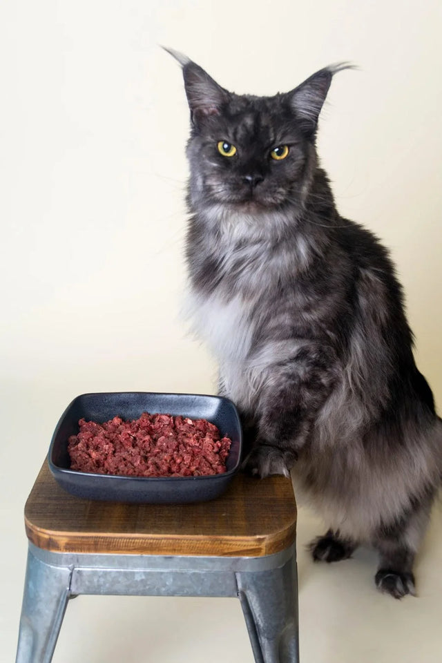 Meow Moo Raw Cat Food