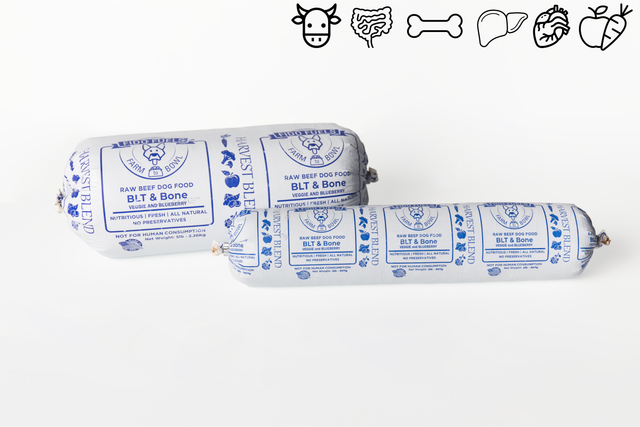 Harvest Blend Raw Dog Food | Fido Fuels