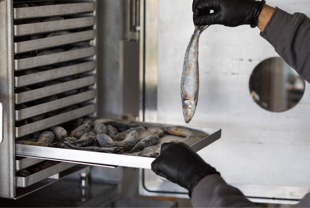 Freeze Dried Sardines