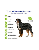 King Kanine STRONG Plus Probiotic Supplement for Dogs