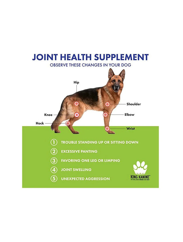 King Kanine STRONG Plus Probiotic Supplement for Dogs